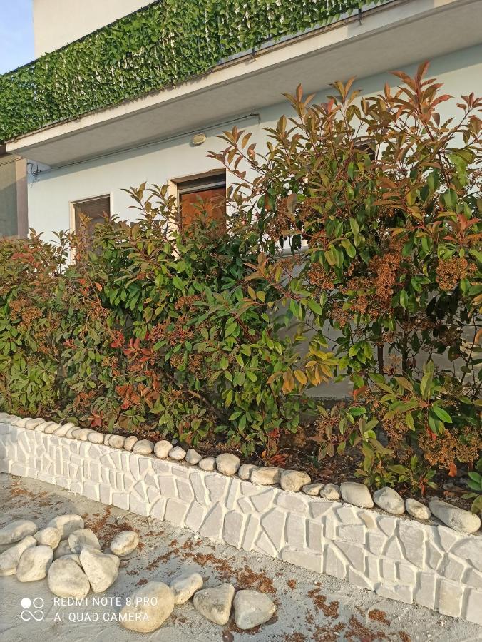 Rosa Dei Venti House Villa Campomarino  Exterior photo